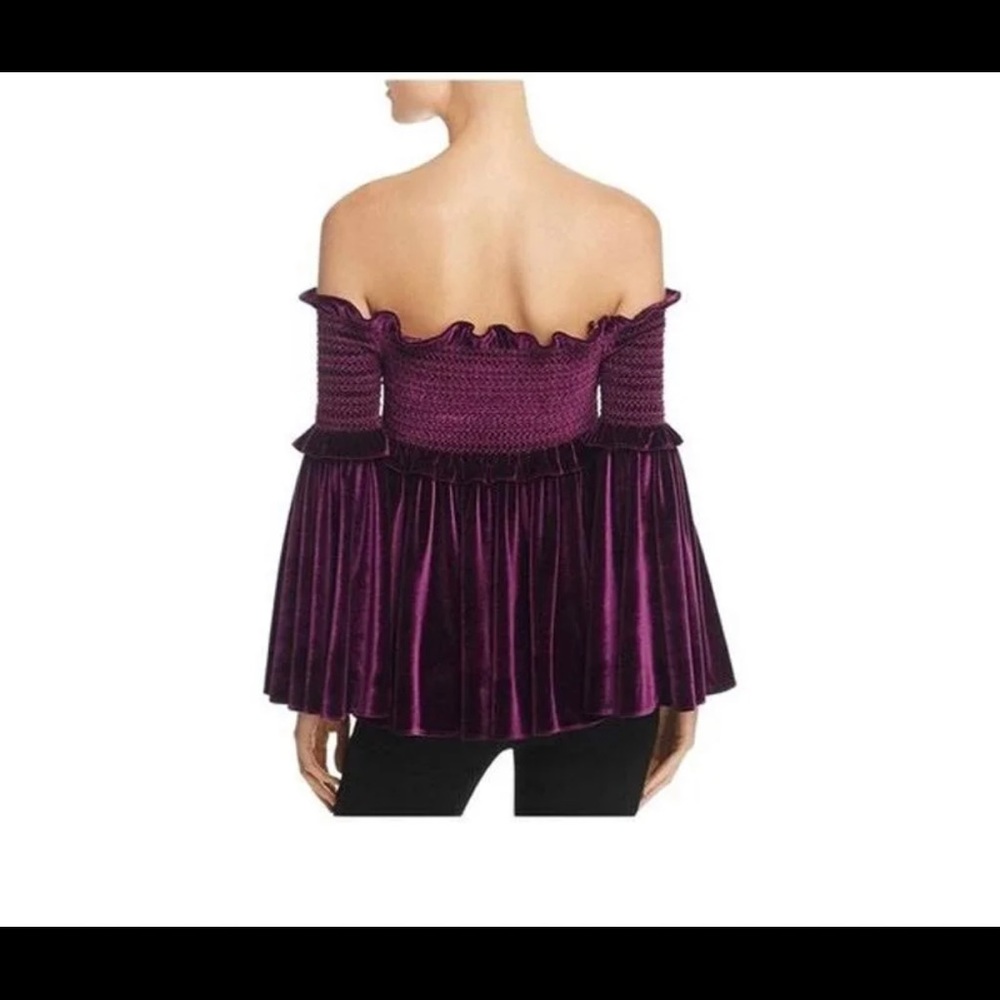 Petersyn Davenport Mulberry Velvet Top Size XS Extra Small New NWT Reg $295 - Picture 2 of 4